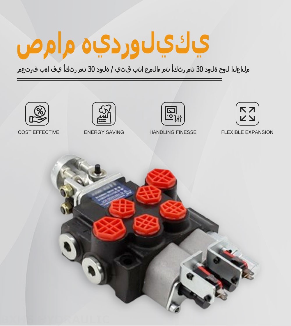 P40 Micro Switch ذراع تحكم صمام 2 صمام اتجاهي كتلة واحدة